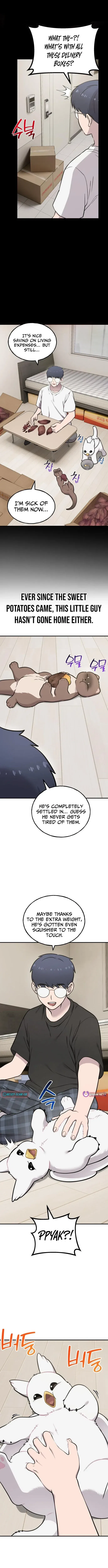 Hello, Griffin the Fluffy Bird! Chapter 47 – Page 9