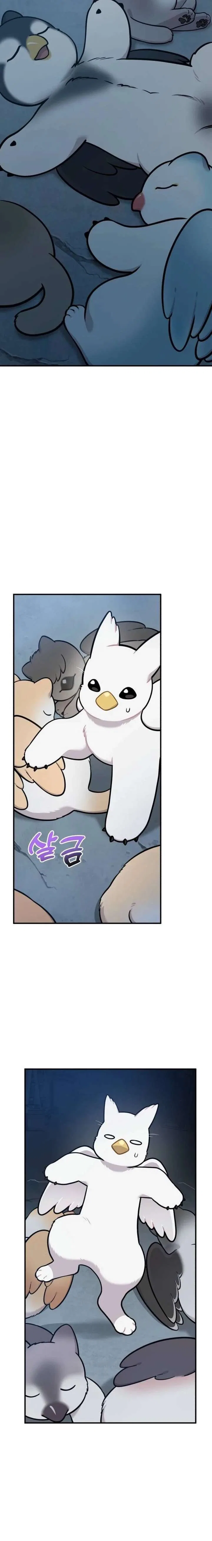Hello, Griffin the Fluffy Bird! Chapter 40 – Page 18
