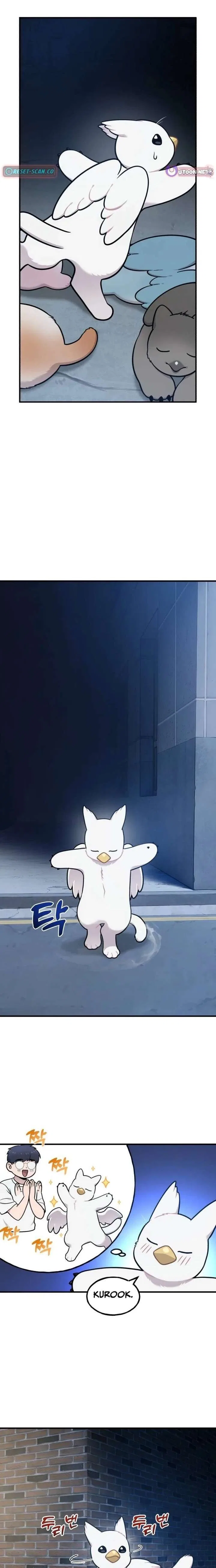Hello, Griffin the Fluffy Bird! Chapter 40 – Page 19