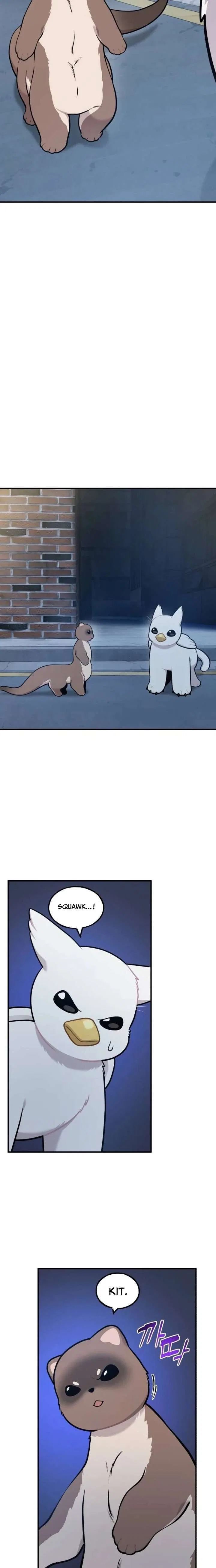 Hello, Griffin the Fluffy Bird! Chapter 40 – Page 21