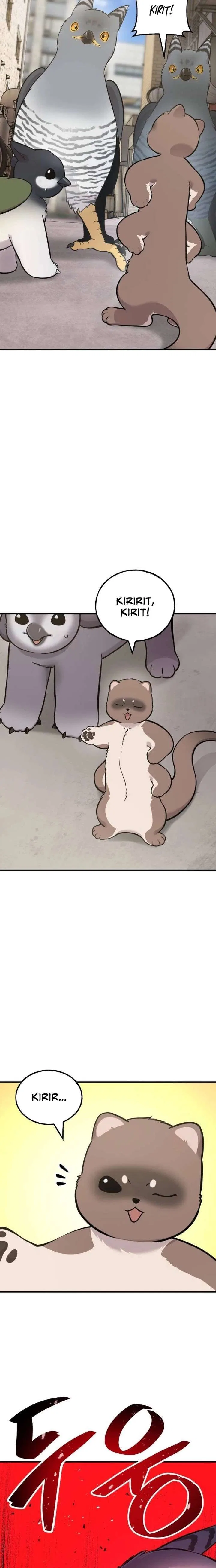 Hello, Griffin the Fluffy Bird! Chapter 39 – Page 3