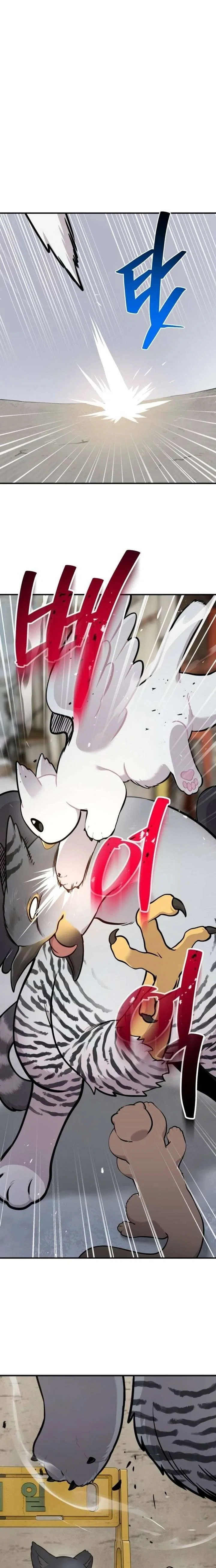 Hello, Griffin the Fluffy Bird! Chapter 39 – Page 5