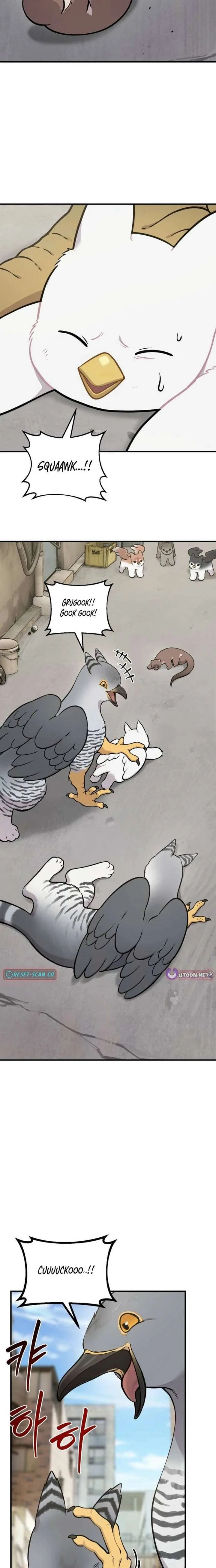 Hello, Griffin the Fluffy Bird! Chapter 39 – Page 8