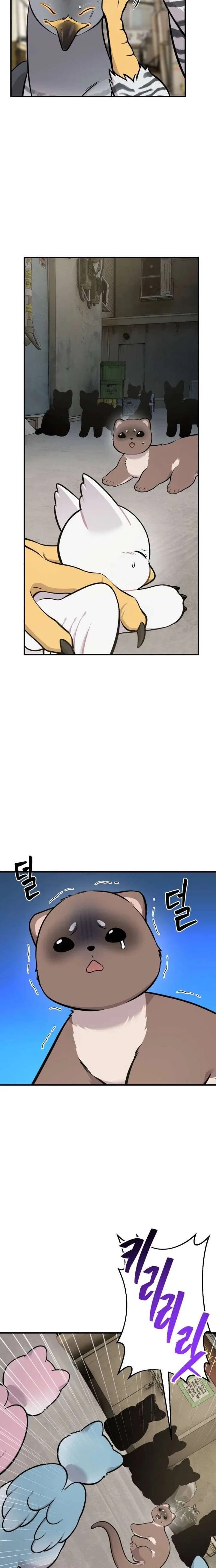 Hello, Griffin the Fluffy Bird! Chapter 39 – Page 9