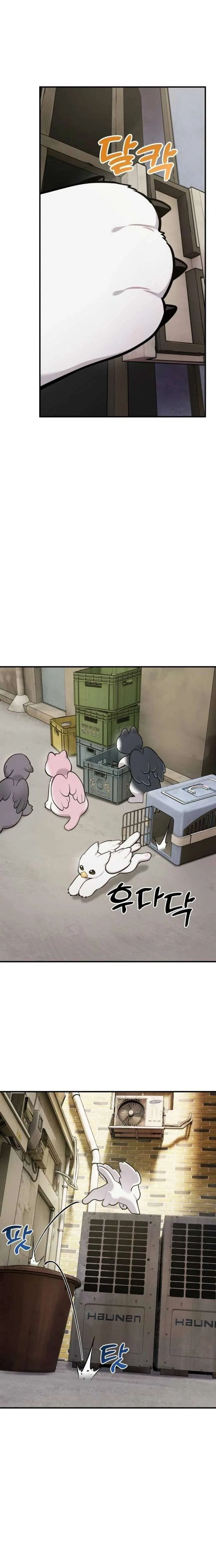Hello, Griffin the Fluffy Bird! Chapter 39 – Page 12
