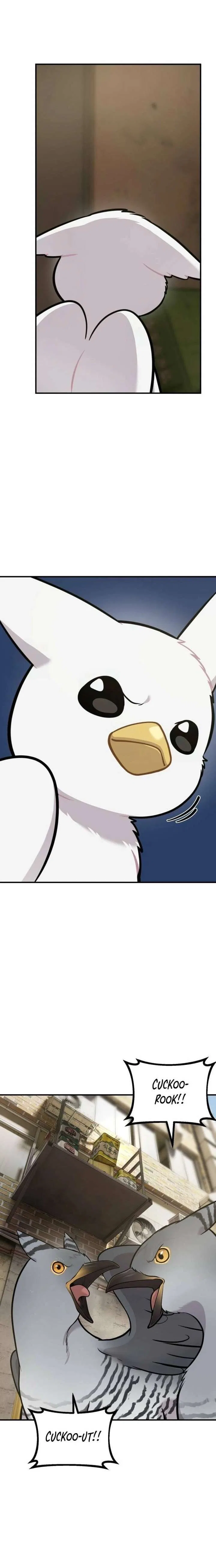 Hello, Griffin the Fluffy Bird! Chapter 39 – Page 17