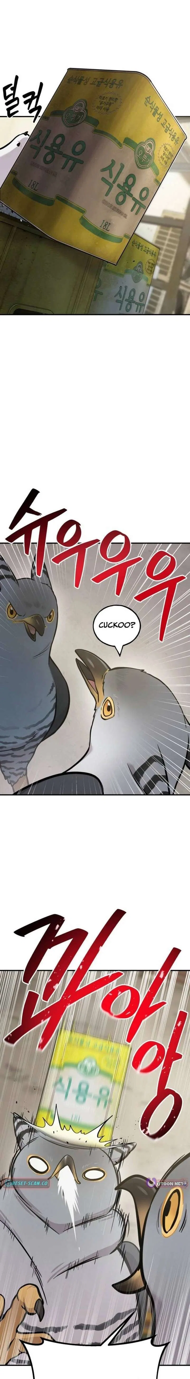 Hello, Griffin the Fluffy Bird! Chapter 39 – Page 18