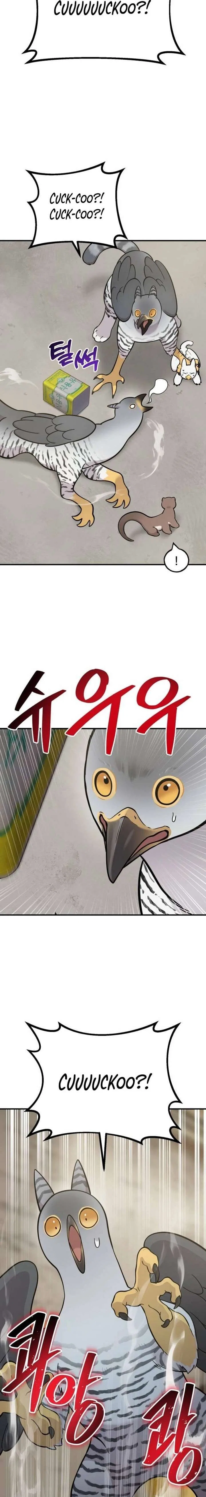 Hello, Griffin the Fluffy Bird! Chapter 39 – Page 19