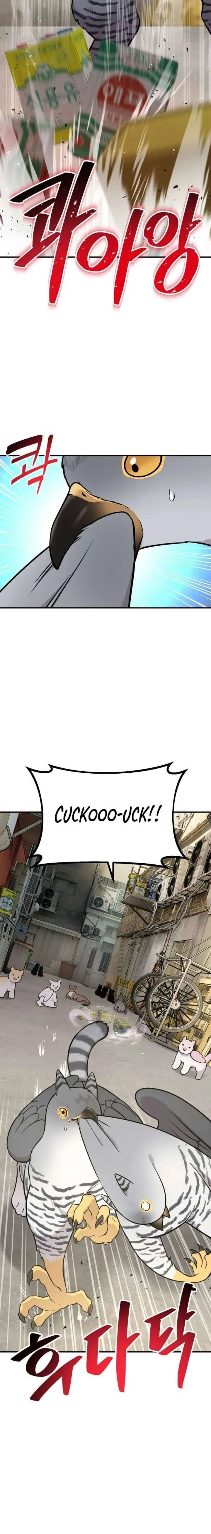 Hello, Griffin the Fluffy Bird! Chapter 39 – Page 20