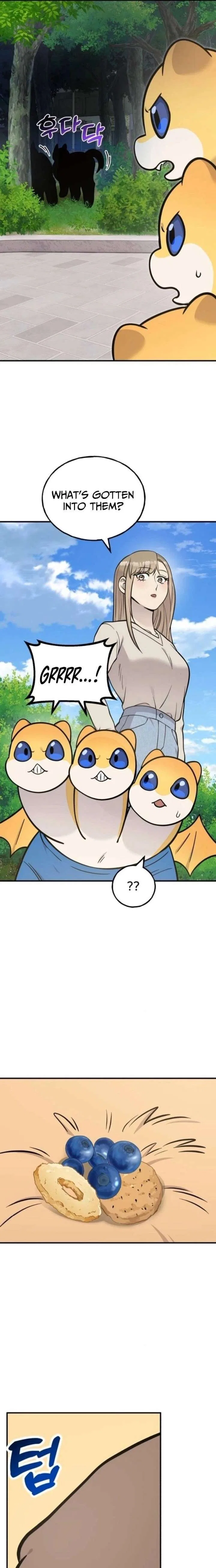 Hello, Griffin the Fluffy Bird! Chapter 38 – Page 19