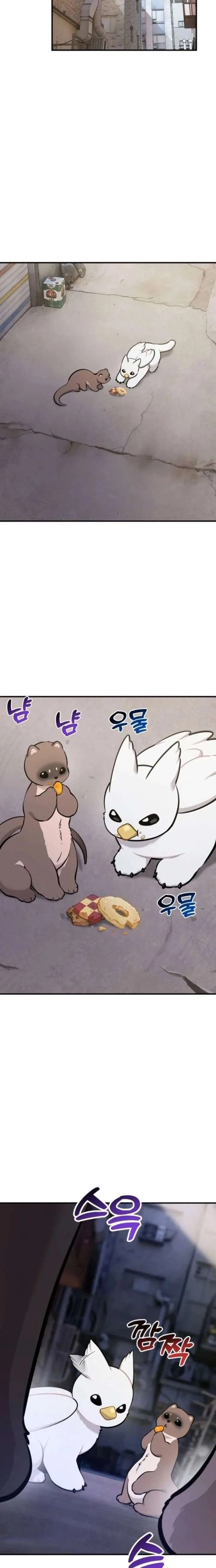 Hello, Griffin the Fluffy Bird! Chapter 36 – Page 22