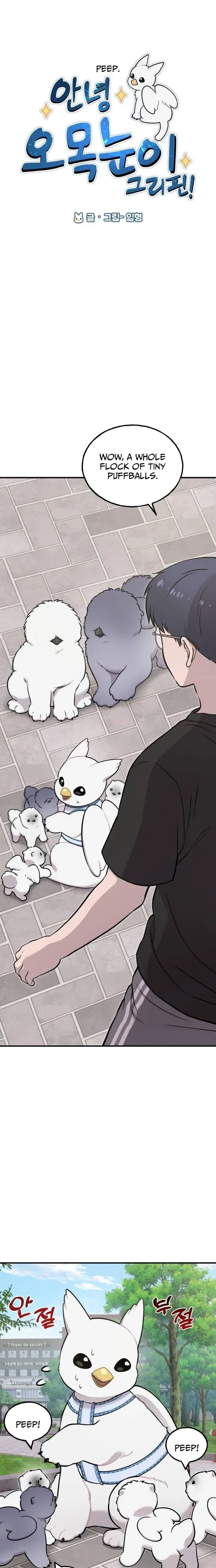 Hello, Griffin the Fluffy Bird! Chapter 33 – Page 3
