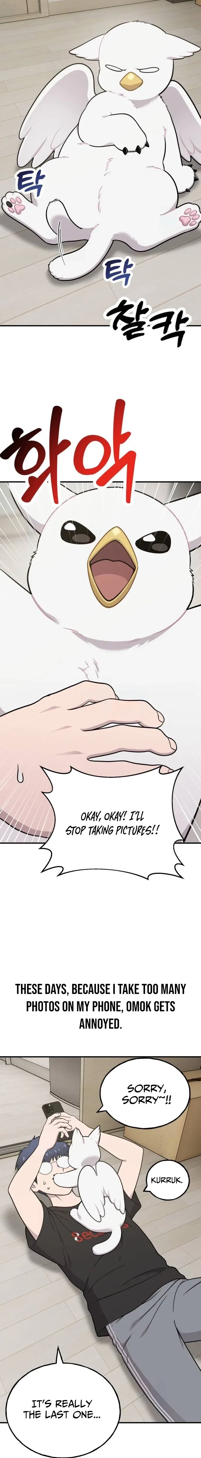 Hello, Griffin the Fluffy Bird! Chapter 32 – Page 2