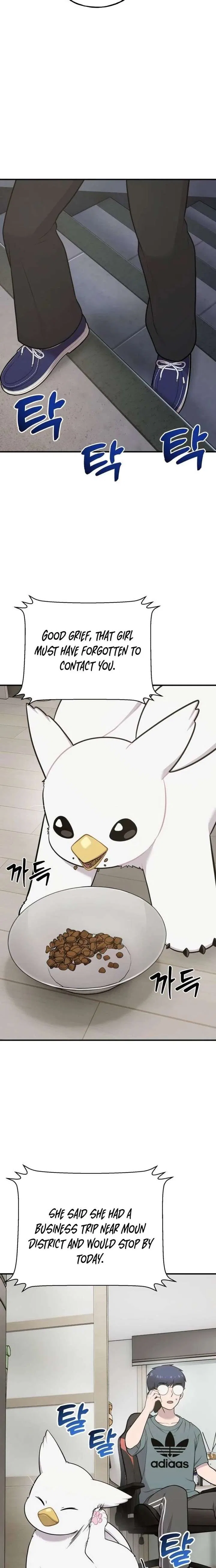Hello, Griffin the Fluffy Bird! Chapter 31 – Page 6