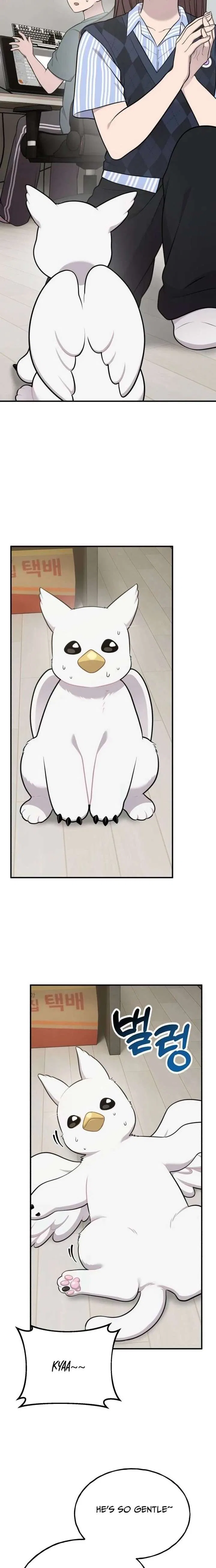 Hello, Griffin the Fluffy Bird! Chapter 31 – Page 13