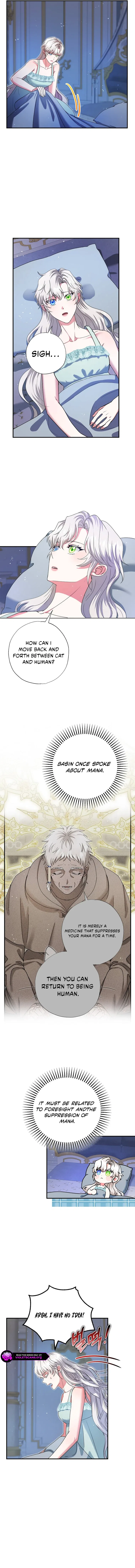 I Became the Emperor’s Cat Chapter 72 – Page 8