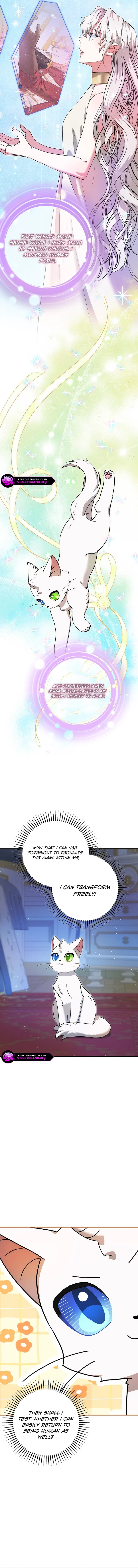I Became the Emperor’s Cat Chapter 72 – Page 11