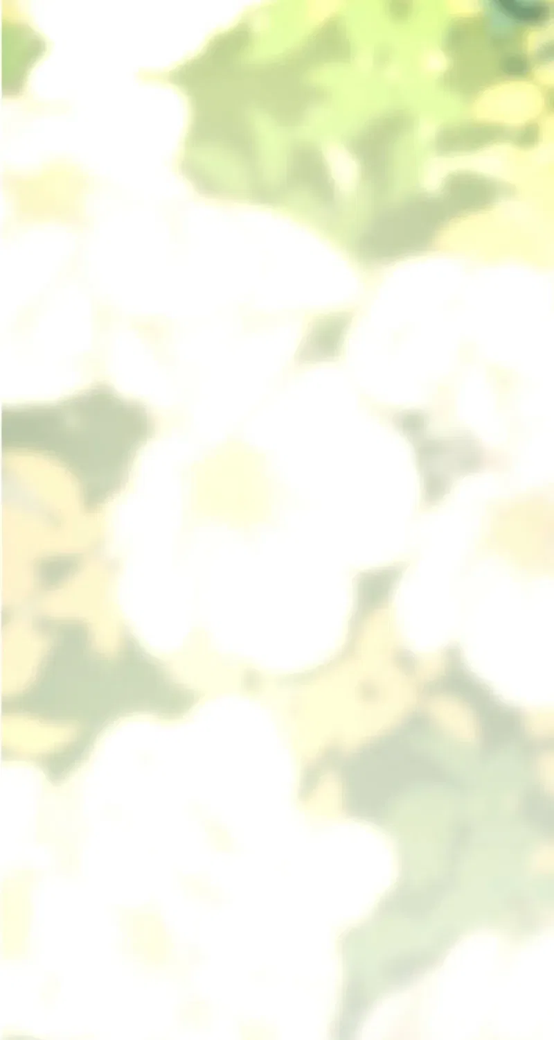 The Solitary Flower ~The Slum Girl Becomes a Princess and is Single-Mindedly Adored~ Chapter 22 – Page 114