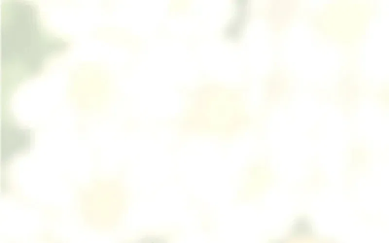 The Solitary Flower ~The Slum Girl Becomes a Princess and is Single-Mindedly Adored~ Chapter 22 – Page 115