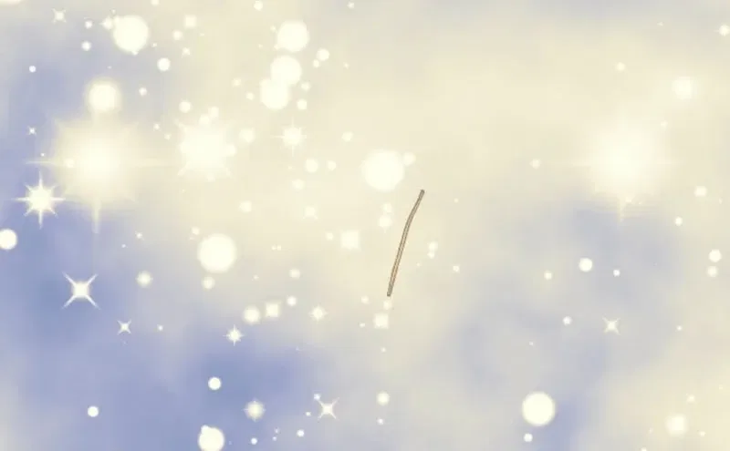 The Solitary Flower ~The Slum Girl Becomes a Princess and is Single-Mindedly Adored~ Chapter 21 – Page 63