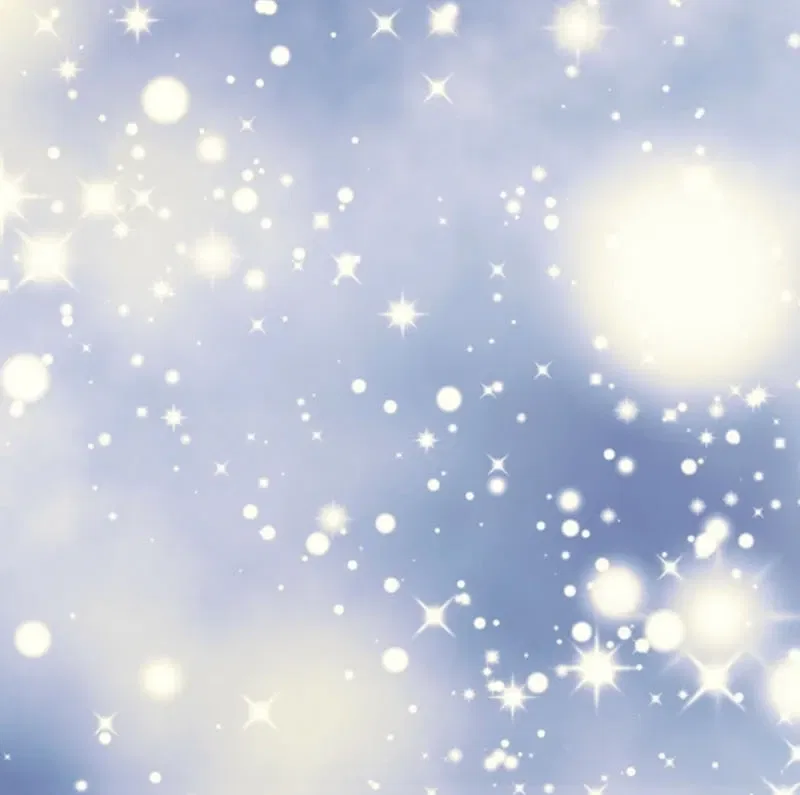 The Solitary Flower ~The Slum Girl Becomes a Princess and is Single-Mindedly Adored~ Chapter 21 – Page 74