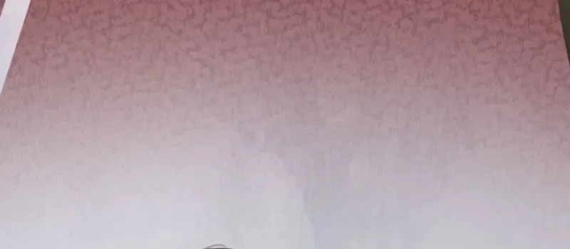 The Solitary Flower ~The Slum Girl Becomes a Princess and is Single-Mindedly Adored~ Chapter 19 – Page 12