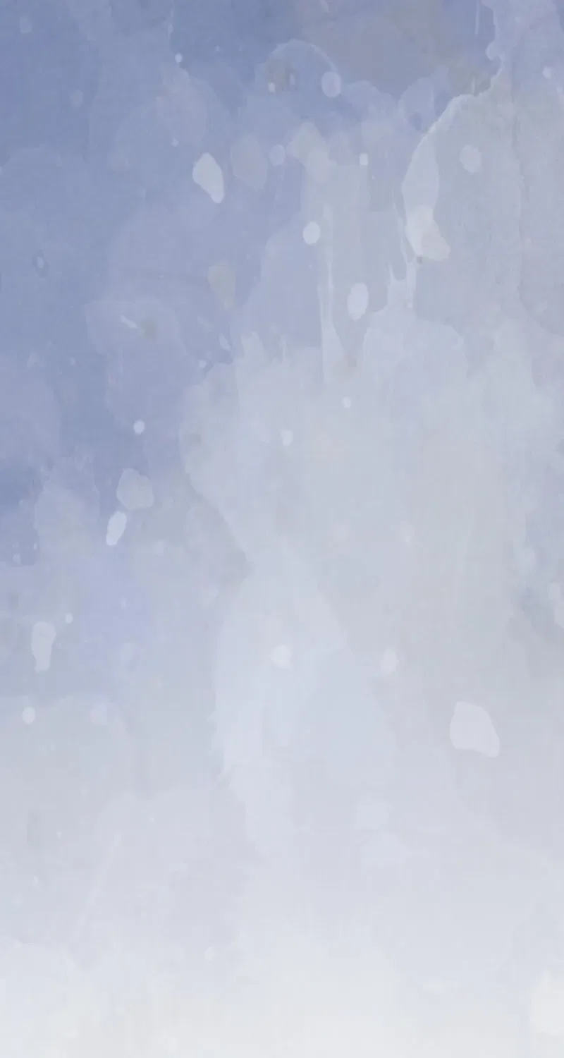 The Solitary Flower ~The Slum Girl Becomes a Princess and is Single-Mindedly Adored~ Chapter 17 – Page 86