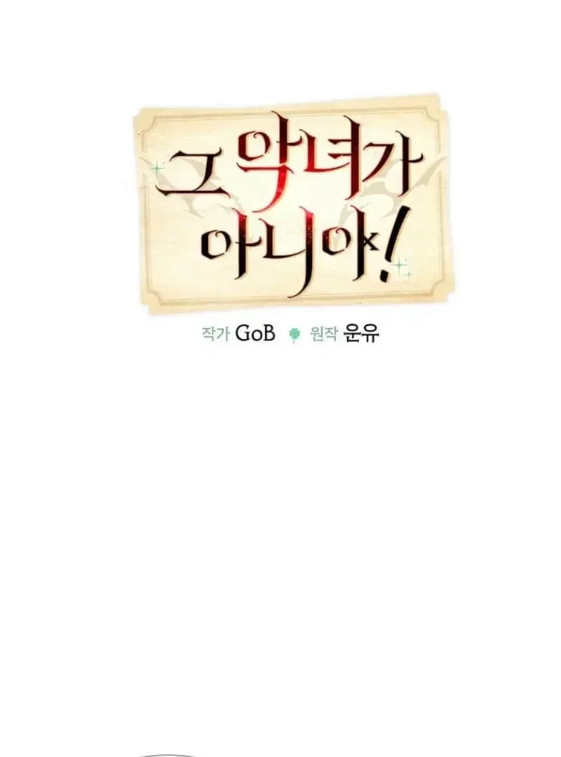 Mistaken for a Wicked Woman! Chapter 67 – Page 13