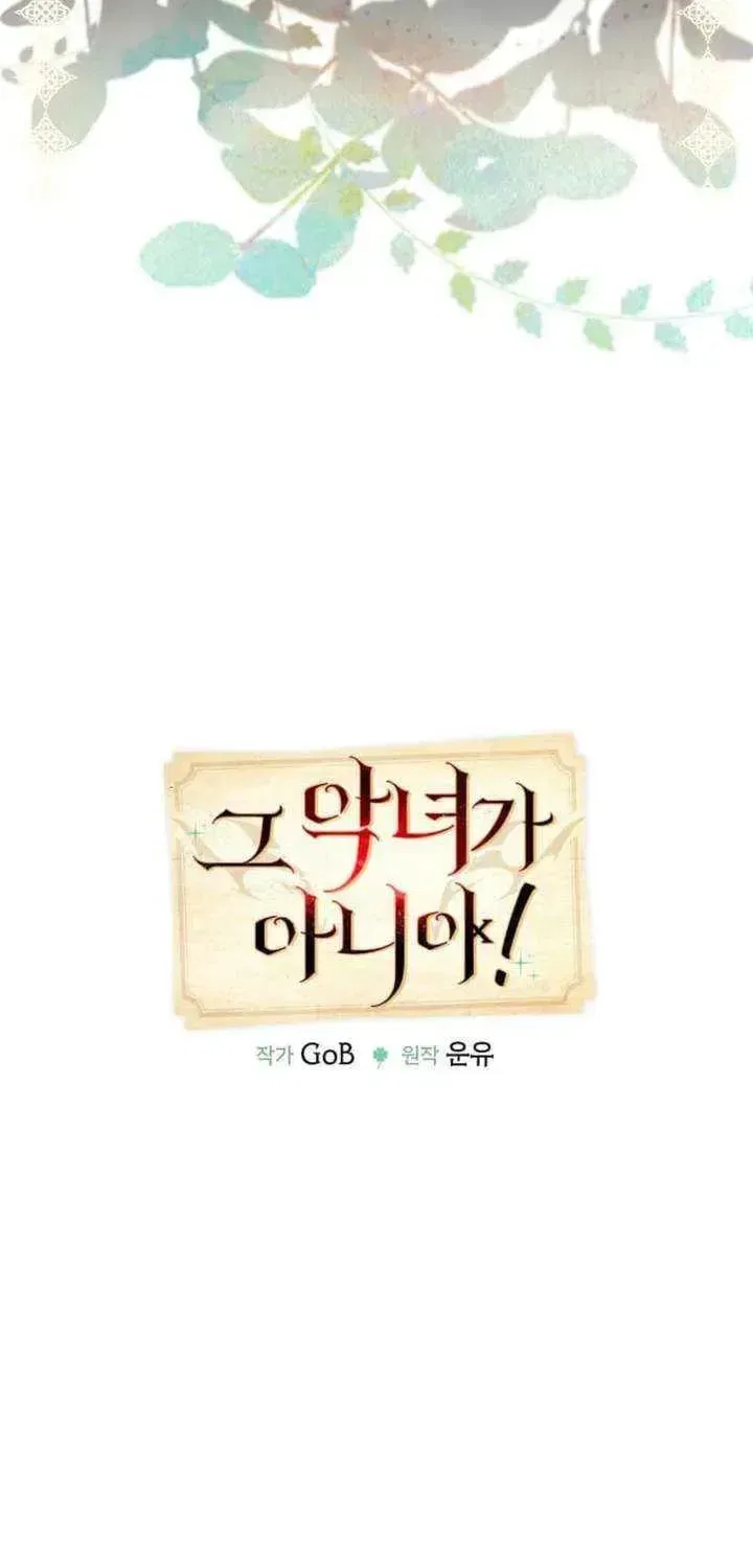 Mistaken for a Wicked Woman! Chapter 64 – Page 17