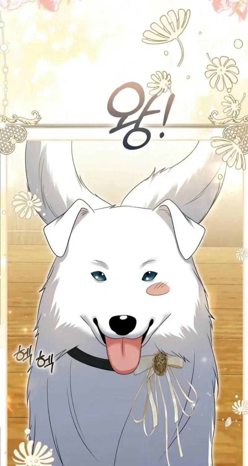 How to Reject a Perfect Marriage Chapter 48 – Page 63
