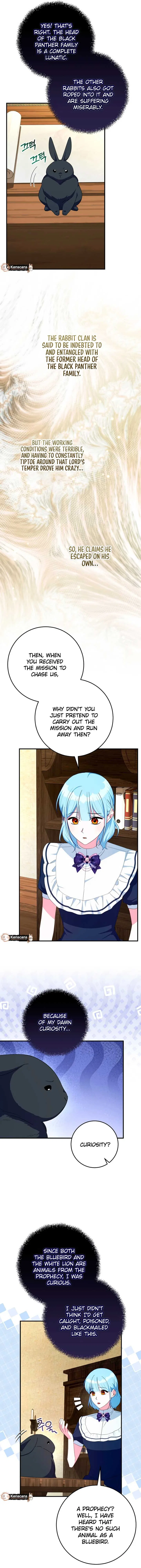 Bluebird Lady and The White Lion Family Chapter 60 – Page 11