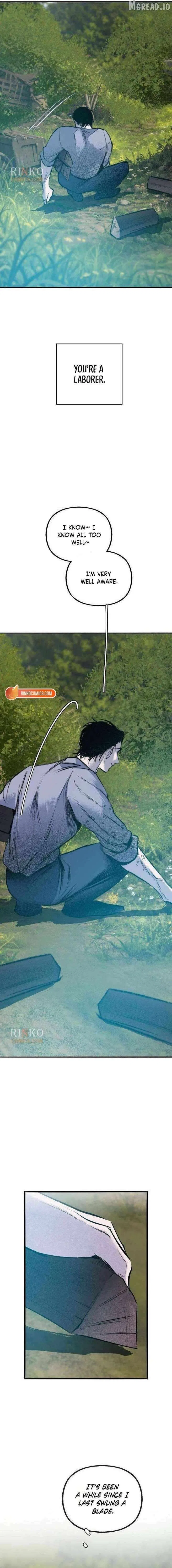 The Masked Revolution is Just for Your Sake Chapter 29 – Page 13