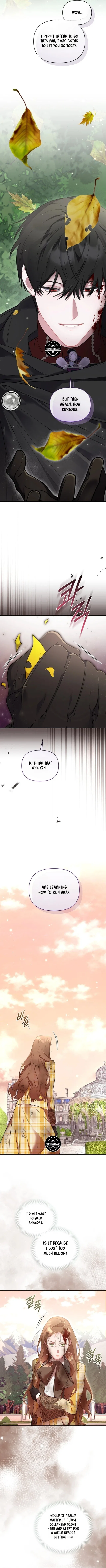 Don’t Worry, We Both Agreed to this Fraudulent Marriage Chapter 71 – Page 12
