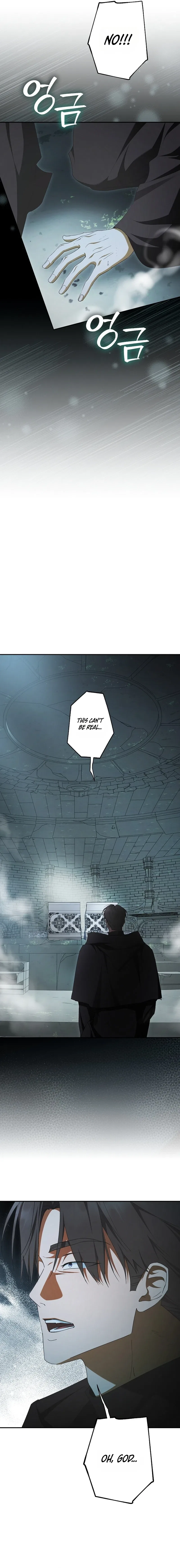 The Male Leads Were Stolen by an Extra Chapter 91 – Page 6