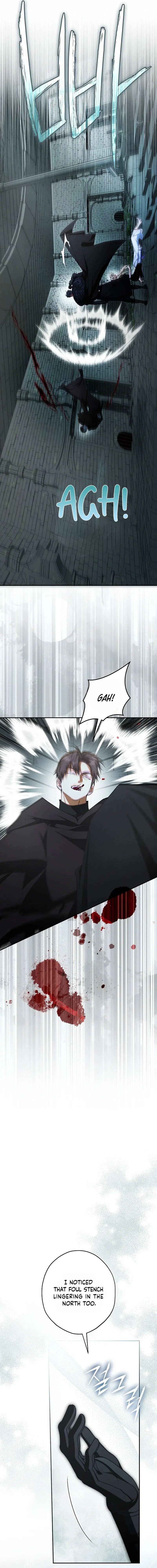 The Male Leads Were Stolen by an Extra Chapter 91 – Page 13