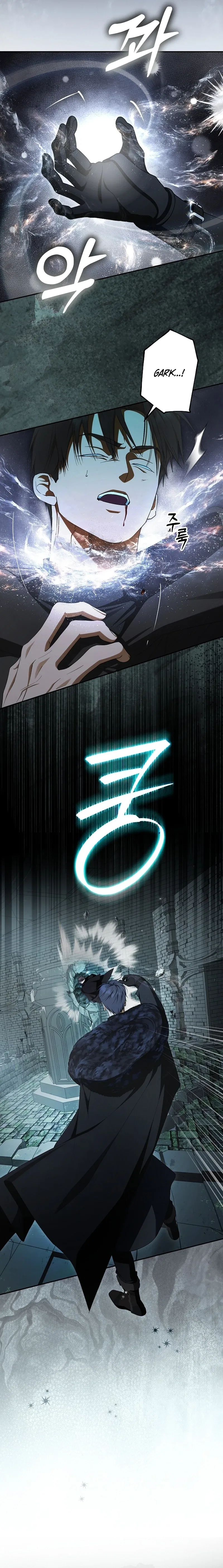 The Male Leads Were Stolen by an Extra Chapter 91 – Page 15