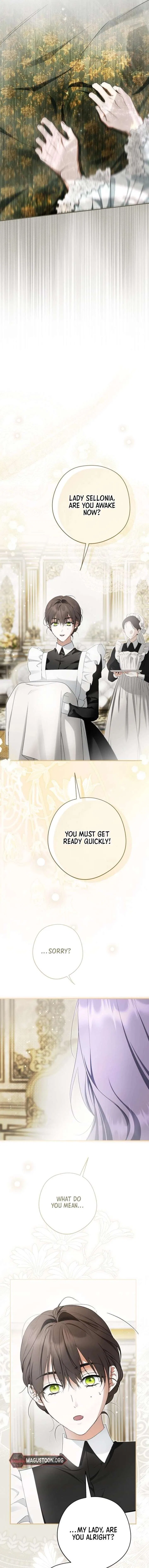 The Male Leads Were Stolen by an Extra Chapter 72 – Page 19
