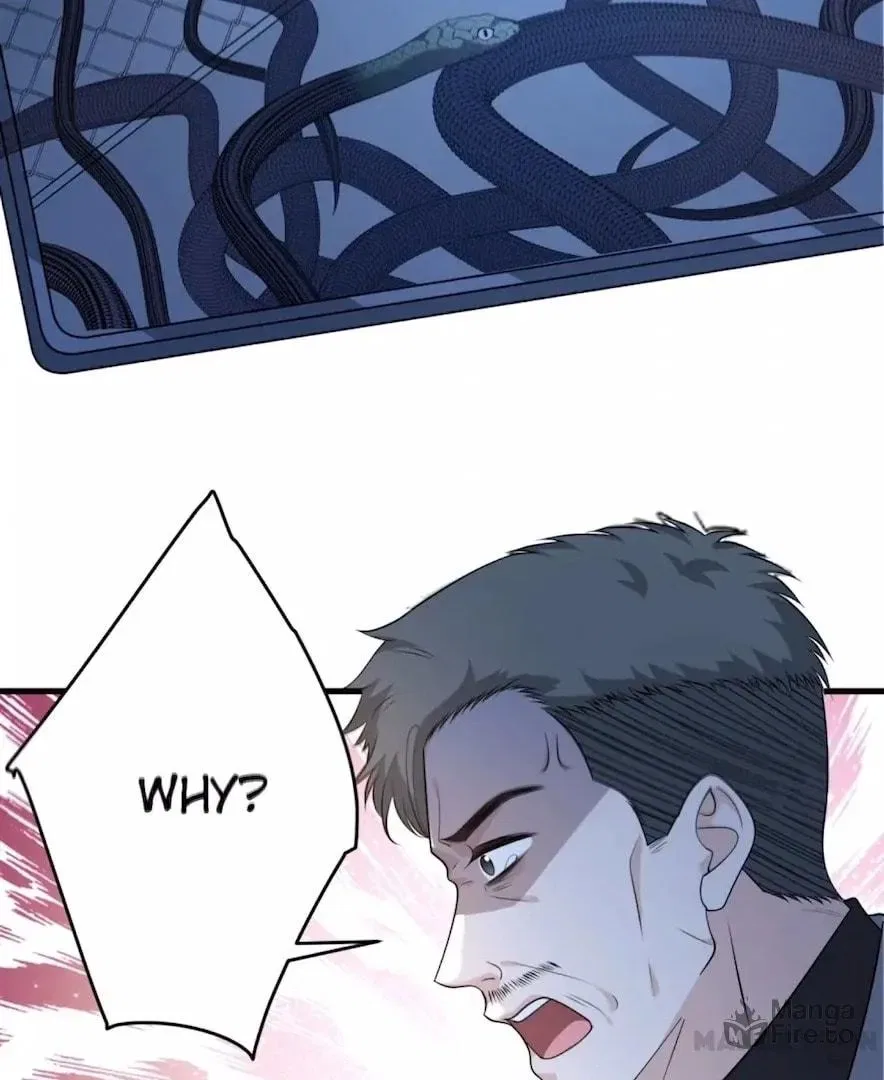 The True Heiress Is an All-Powerful Bigshot Chapter 178 – Page 24
