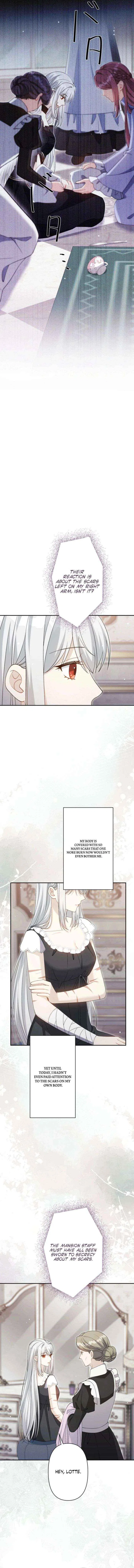 I Wanted a Divorce, But My Husband Became Obsessed With Me Chapter 47 – Page 3