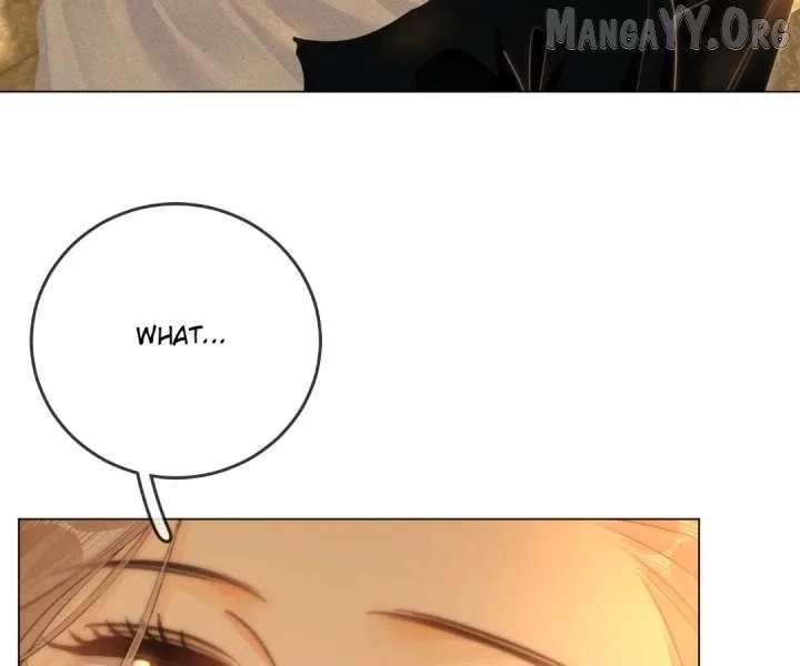 The Stunner Chapter 161 – Page 63