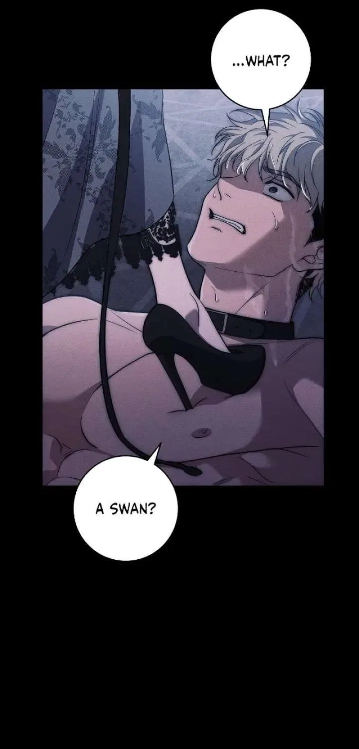Swans Grave Chapter 36 – Page 42