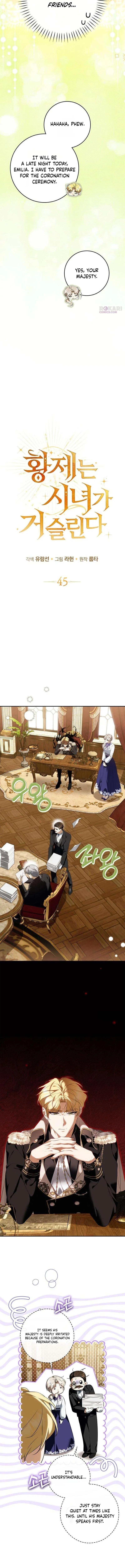 The Emperor Is Annoyed by the Maid Chapter 45 – Page 15
