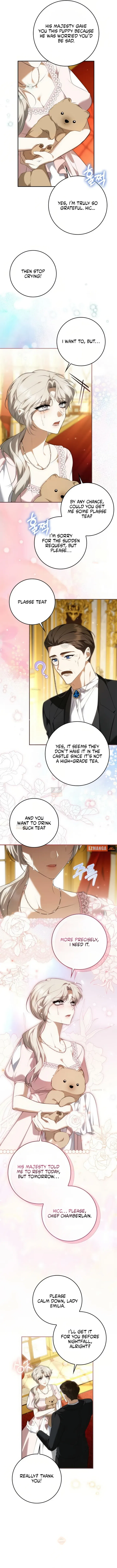 The Emperor Is Annoyed by the Maid Chapter 43 – Page 5