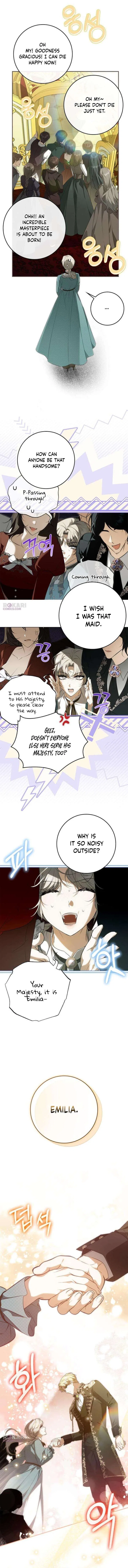 The Emperor Is Annoyed by the Maid Chapter 29 – Page 2