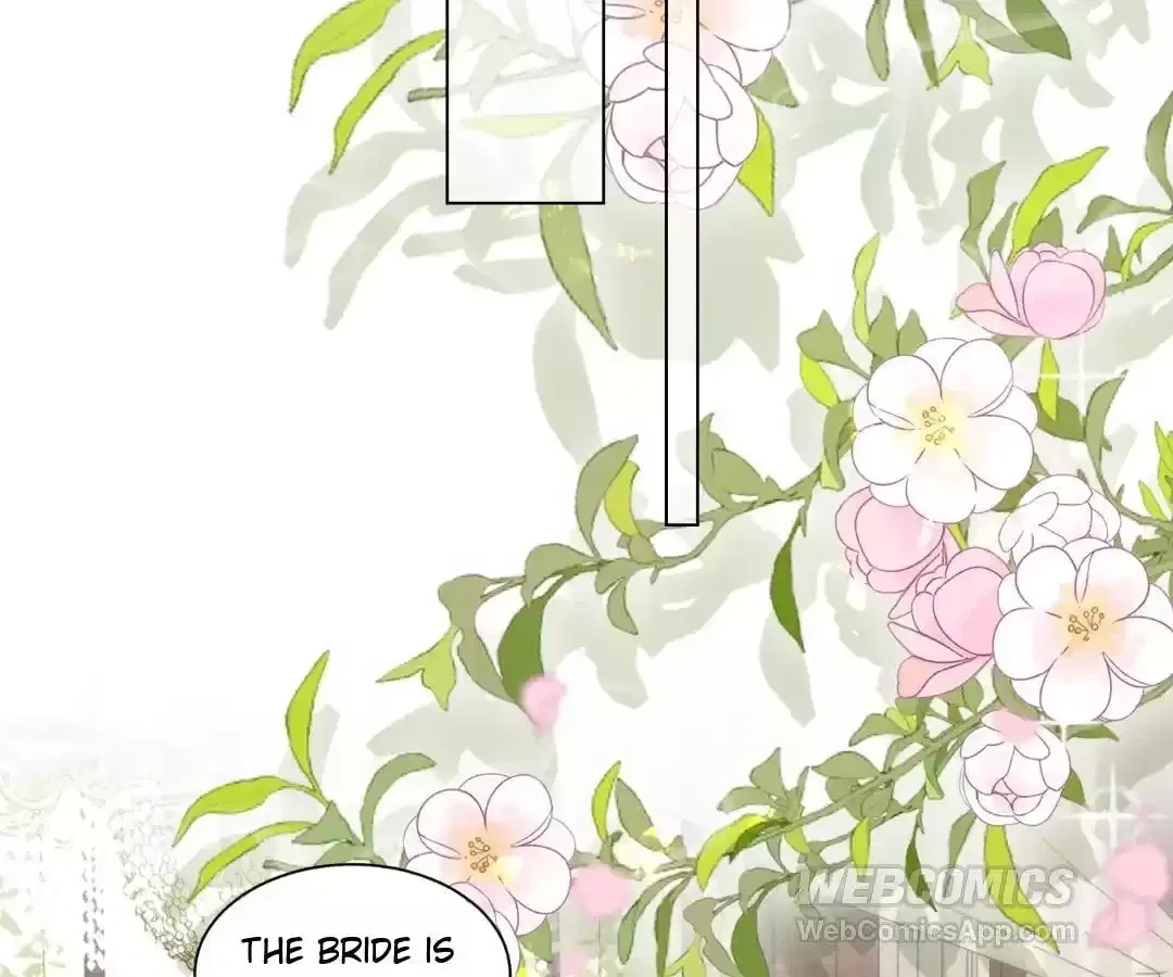 The Substitute Bride And The Overly affectionate Husband Chapter 84 – Page 19
