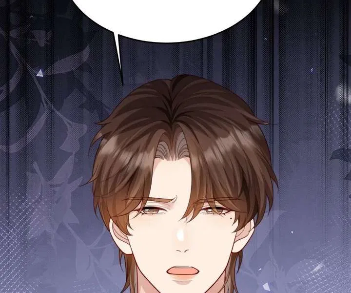 The Substitute Bride And The Overly affectionate Husband Chapter 79 – Page 93