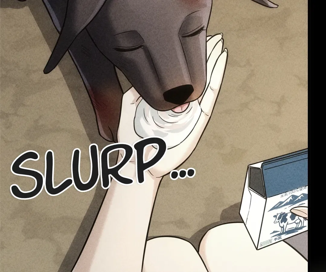 The Man Is A Real Dog Chapter 47 – Page 72