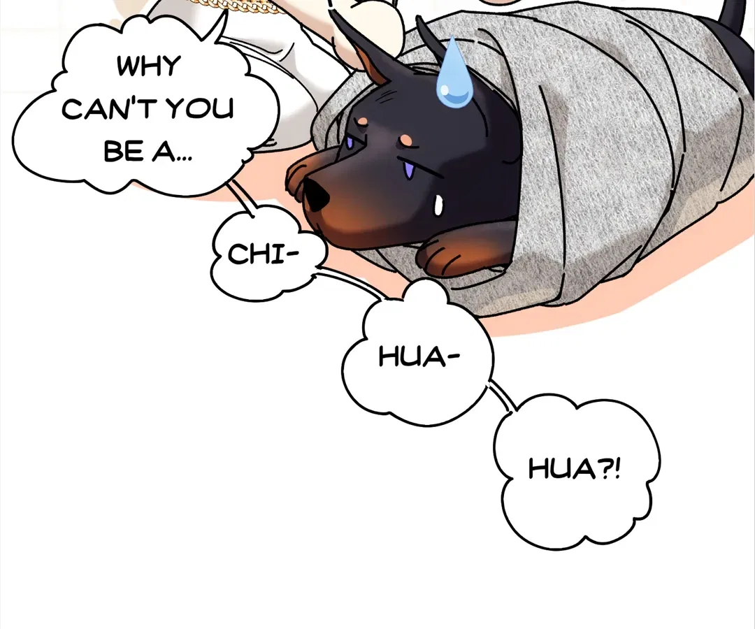 The Man Is A Real Dog Chapter 42 – Page 96