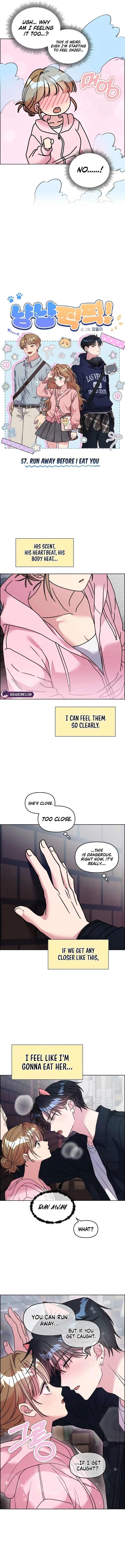 Meow Meow Squeak Squeak! Chapter 57 – Page 3