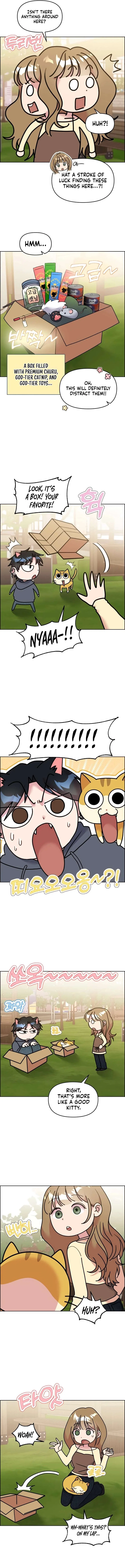 Meow Meow Squeak Squeak! Chapter 53 – Page 3